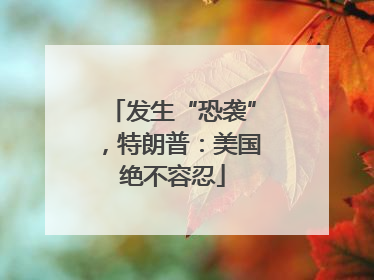发生“恐袭”，特朗普：美国绝不容忍