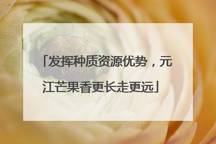 发挥种质资源优势，元江芒果香更长走更远