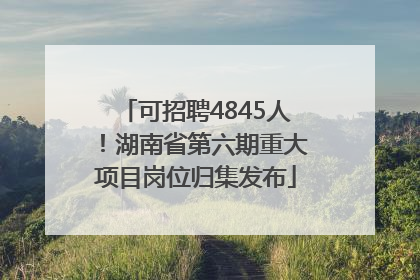 可招聘4845人！湖南省第六期重大项目岗位归集发布