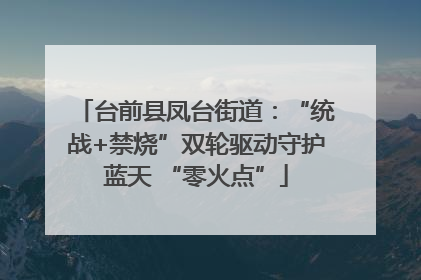 台前县凤台街道：“统战+禁烧”双轮驱动守护蓝天 “零火点”