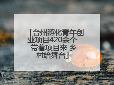 台州孵化青年创业项目420余个 带着项目来 乡村给舞台