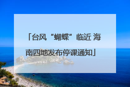 台风“蝴蝶”临近 海南四地发布停课通知