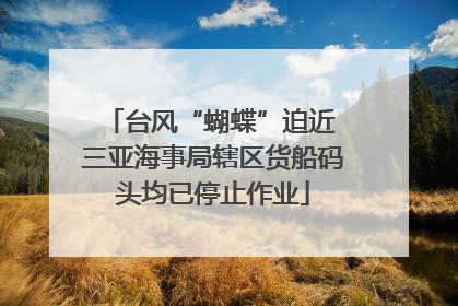 台风“蝴蝶”迫近 三亚海事局辖区货船码头均已停止作业