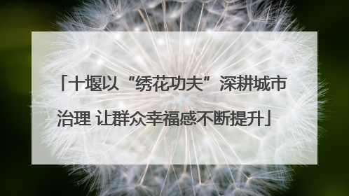 十堰以“绣花功夫”深耕城市治理 让群众幸福感不断提升