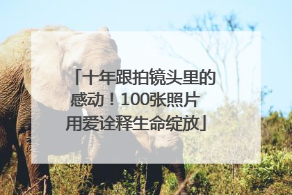 十年跟拍镜头里的感动！100张照片用爱诠释生命绽放