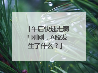 午后快速走弱！刚刚，A股发生了什么？