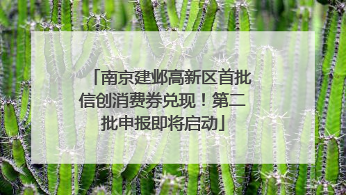 南京建邺高新区首批信创消费券兑现！第二批申报即将启动