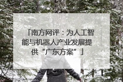 南方网评：为人工智能与机器人产业发展提供“广东方案”