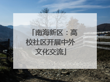 南海新区：高校社区开展中外文化交流