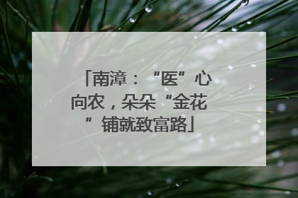 南漳：“医”心向农，朵朵“金花”铺就致富路