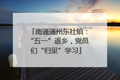 南通通州东社镇：“五一”返乡，党员们“归巢”学习