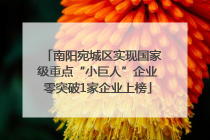南阳宛城区实现国家级重点“小巨人”企业零突破1家企业上榜