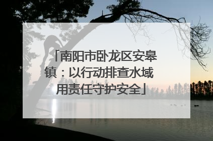 南阳市卧龙区安皋镇：以行动排查水域 用责任守护安全