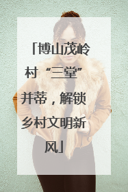 博山茂岭村“三堂”并蒂，解锁乡村文明新风