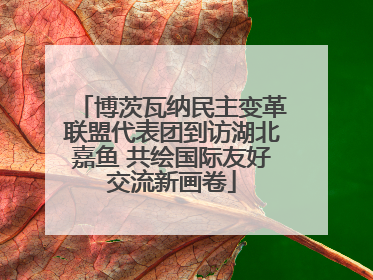 博茨瓦纳民主变革联盟代表团到访湖北嘉鱼 共绘国际友好交流新画卷