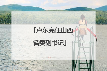 卢东亮任山西省委副书记