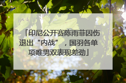 印尼公开赛陈雨菲因伤退出“内战”，国羽各单项唯男双表现差劲