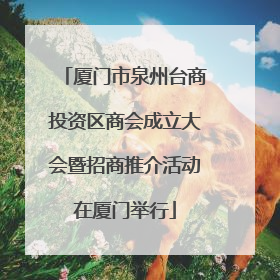 厦门市泉州台商投资区商会成立大会暨招商推介活动在厦门举行