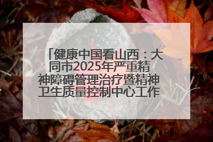 健康中国看山西:大同市2025年严重精神障碍管理治疗暨精神卫生质量控制中心工作培训班开班