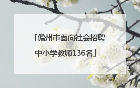 儋州市面向社会招聘中小学教师136名