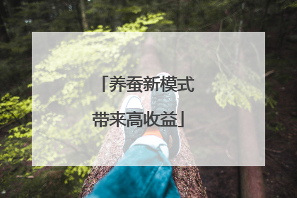 养蚕新模式带来高收益