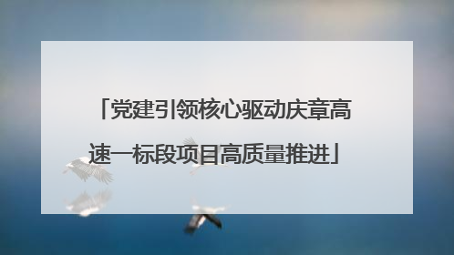 党建引领核心驱动庆章高速一标段项目高质量推进