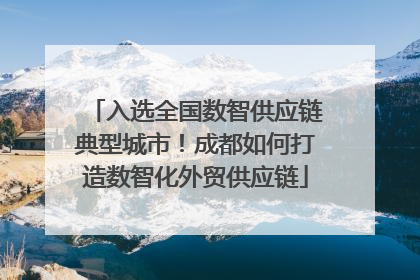 入选全国数智供应链典型城市！成都如何打造数智化外贸供应链