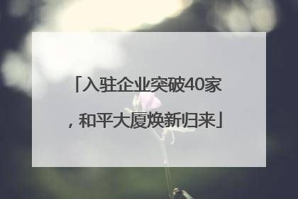 入驻企业突破40家，和平大厦焕新归来