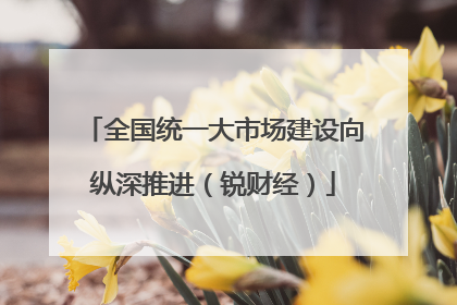 全国统一大市场建设向纵深推进（锐财经）