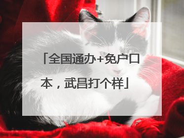 全国通办+免户口本，武昌打个样