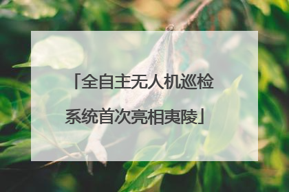 全自主无人机巡检系统首次亮相夷陵