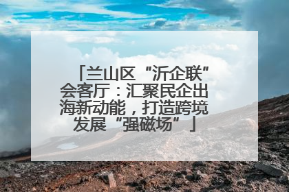 兰山区“沂企联”会客厅：汇聚民企出海新动能，打造跨境发展“强磁场”