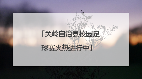 关岭自治县校园足球赛火热进行中