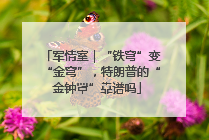 军情室｜“铁穹”变“金穹”，特朗普的“金钟罩”靠谱吗