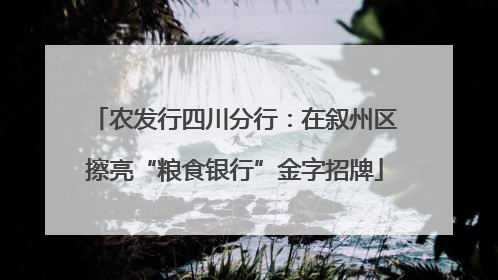 农发行四川分行：在叙州区擦亮“粮食银行”金字招牌