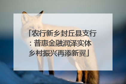 农行新乡封丘县支行：普惠金融润泽实体 乡村振兴再添新翼