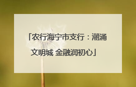 农行海宁市支行：潮涌文明城 金融润初心