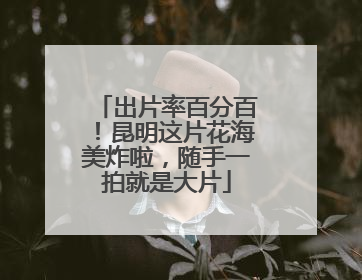 出片率百分百！昆明这片花海美炸啦，随手一拍就是大片