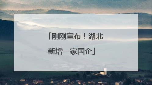 刚刚宣布！湖北新增一家国企