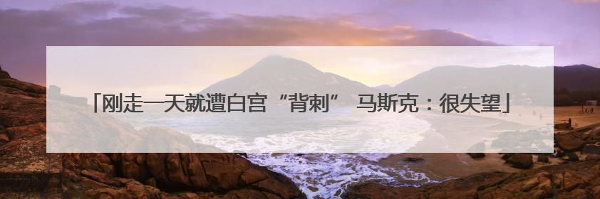 刚走一天就遭白宫“背刺” 马斯克：很失望
