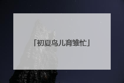 初夏鸟儿育雏忙