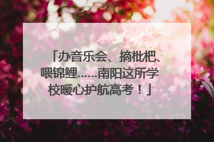 办音乐会、摘枇杷、喂锦鲤……南阳这所学校暖心护航高考！