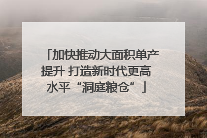 加快推动大面积单产提升 打造新时代更高水平“洞庭粮仓”