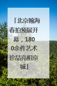 北京翰海春拍预展开幕，1800余件艺术珍品亮相京城