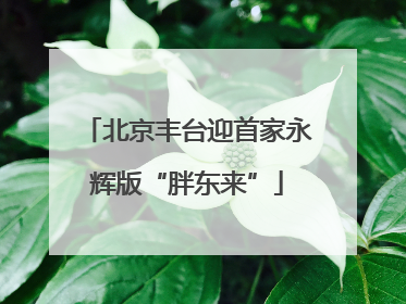 北京丰台迎首家永辉版“胖东来”
