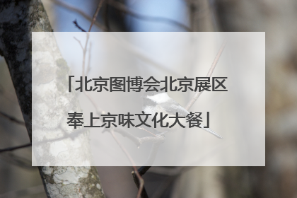 北京图博会北京展区奉上京味文化大餐