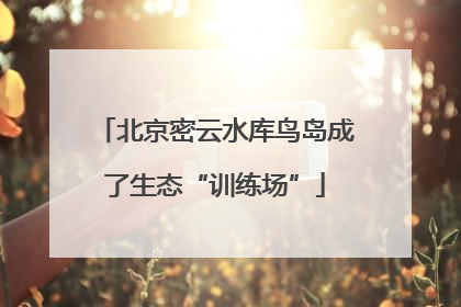 北京密云水库鸟岛成了生态“训练场”