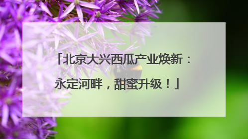 北京大兴西瓜产业焕新：永定河畔，甜蜜升级！