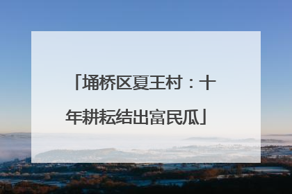 埇桥区夏王村：十年耕耘结出富民瓜