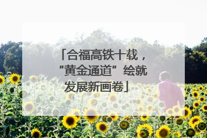 合福高铁十载，“黄金通道”绘就发展新画卷